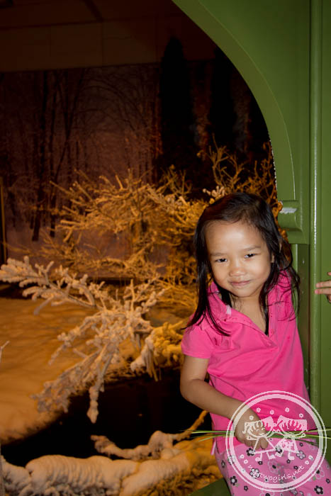 Bukit Cerakah - Winter House